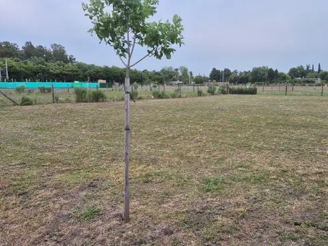 Terreno Nro 168 en Venta en barrio Nortes del Pilar. 600 m2. Posesión inmediata. Barrio Privado