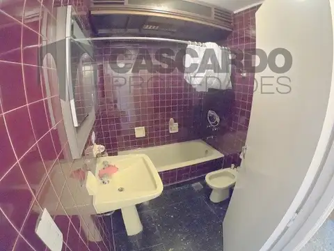 Excelente casa en 3 plantas con galpón y local. Ideal 2 familias y/o inversor