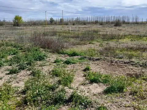 Terreno en Venta de 250,0 m2