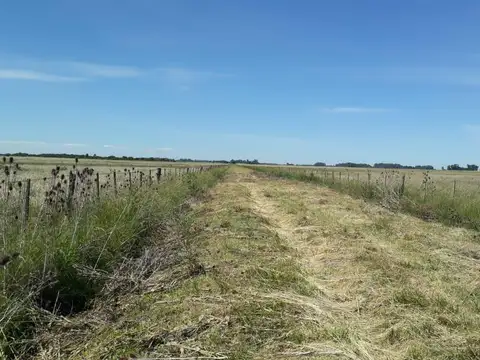 Campo en Venta -  - 310000mts - La Plata