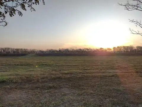 Terreno en Venta de 1007,0 m2