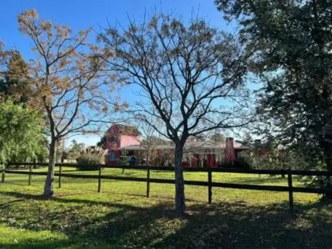 ESTANCIA LAS LILAS 100