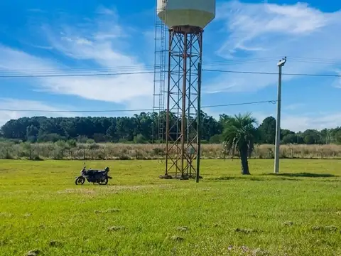 Colonia Carolina
