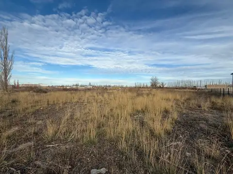 Saturnino Franco 2500