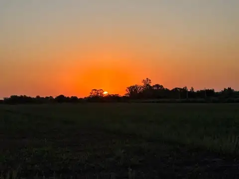 Terreno en Venta de 11647,0 m2