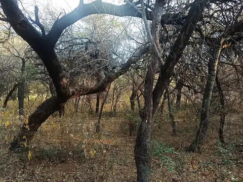 Terreno en Venta en San Marcos Sierra, USD 9.500