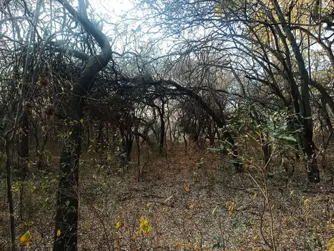 Vendo lote de 900 m² en el callejón Los Patos, el Rincón, San Marcos Sierras