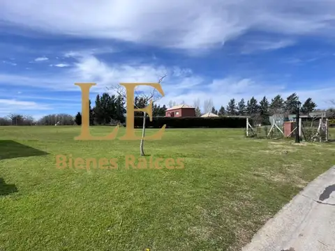 San Matias 100