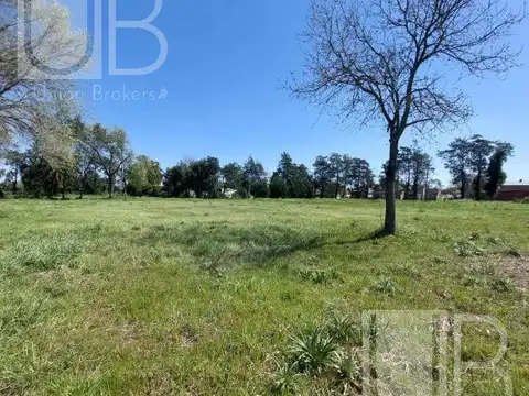 Av. Orlando Sanguinetti