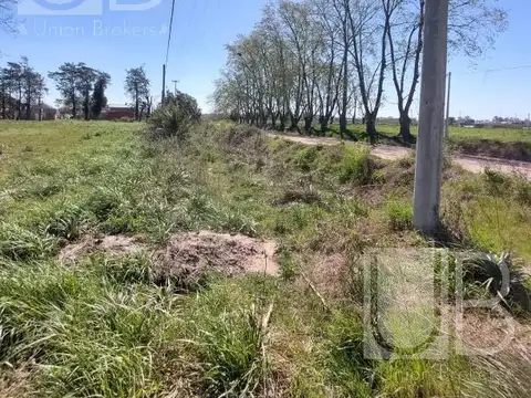 Av. Orlando Sanguinetti