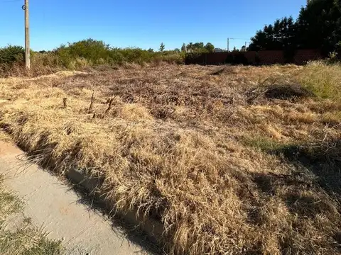Terreno en Venta de 498,0 m2