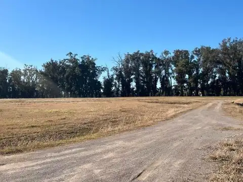 Rp34