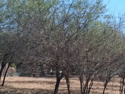 Terreno en Venta en Las Flores, USD 25.000