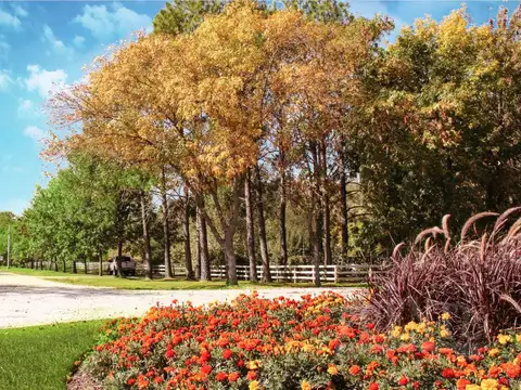 Terreno en Venta de 2500,0 m2