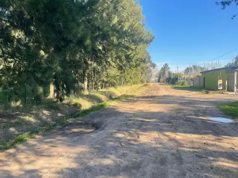Terreno en Venta de 3750,0 m2