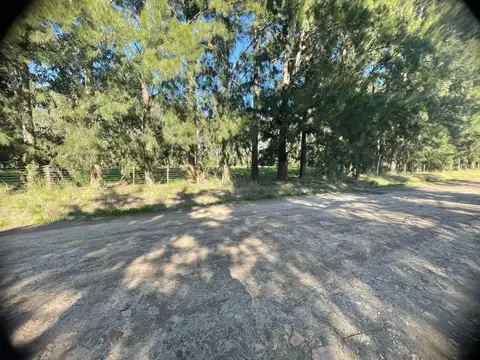 Terreno en Venta en Gomez, USD 83.000