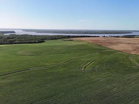 Campo en Venta de 113  ha
