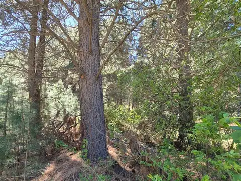 Terreno en Venta 33  mts Frente