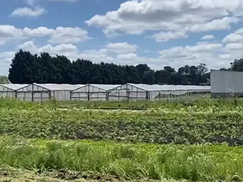 Campo sobre ruta 226