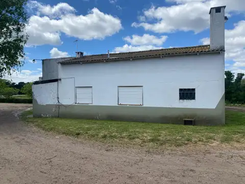 ruta 226