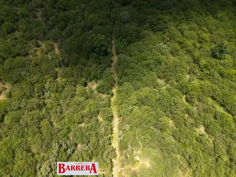 Ruta 148
