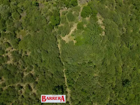 Ruta 148