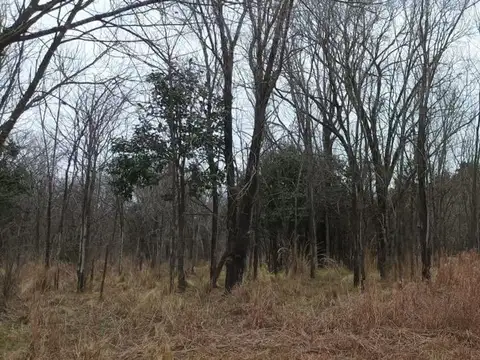 Venta Lote 700m2 en Solar de Los Molinos