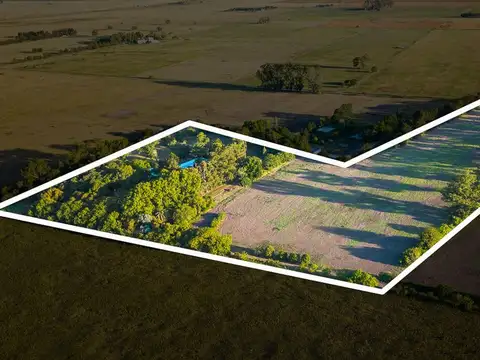 Venta campo 6 hectareas con chalet y buen acceso