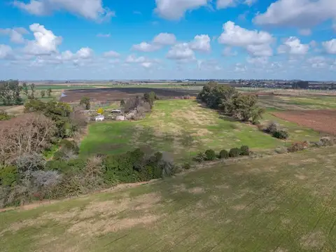 Venta campo 6 hectareas con chalet y buen acceso