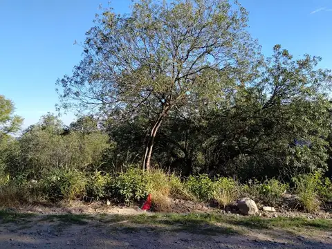 Terreno en Venta de 1250,0 m2