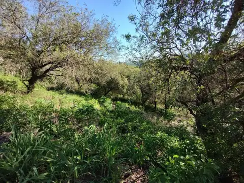Terreno en Venta en Mendiolaza, USD 33.500
