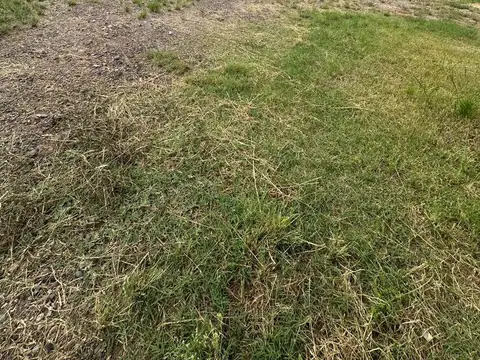 Terreno en Venta en Puesto la Jarilla, USD 95.000