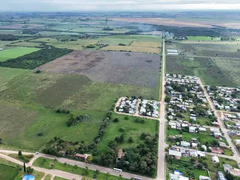 Vendo Campo 48 Has en San Justo Entre Ríos