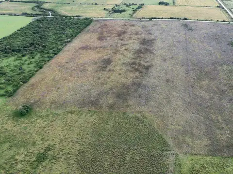 Vendo Campo 48 Has en San Justo Entre Ríos