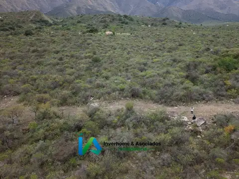 Terreno en Venta de 10000,0 m2