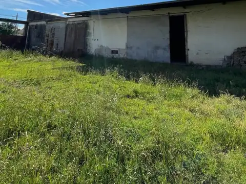 Galpon en Alquiler 40  mts Frente