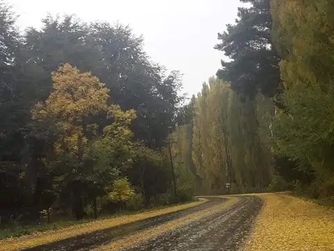 Terreno en Venta de 2000,0 m2