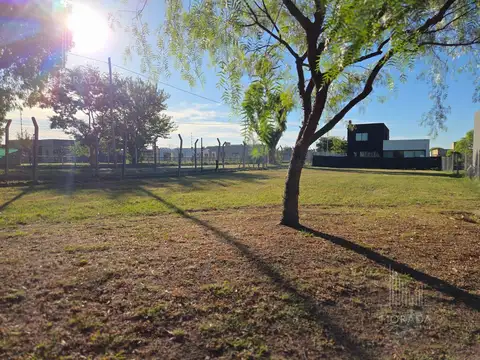 Terreno en Venta de 550,0 m2
