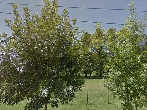 Terreno en Venta 25  mts Fondo