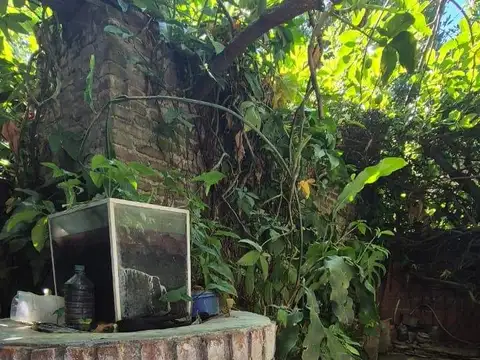 pueyrredon 1700, 100