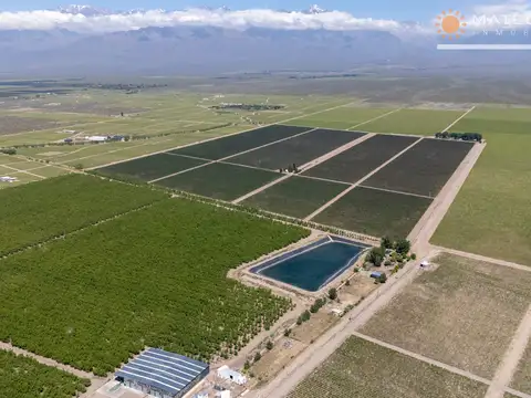 Finca en venta en Los Chacayes