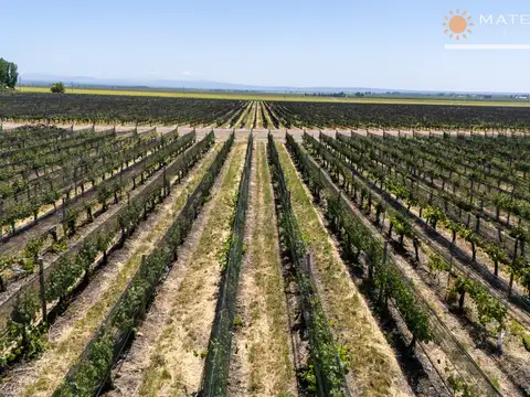 Campo en Venta de 70  ha