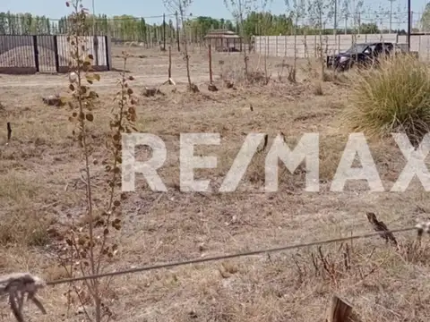 JARDINES DEL LIMAY CHINA MUERTA