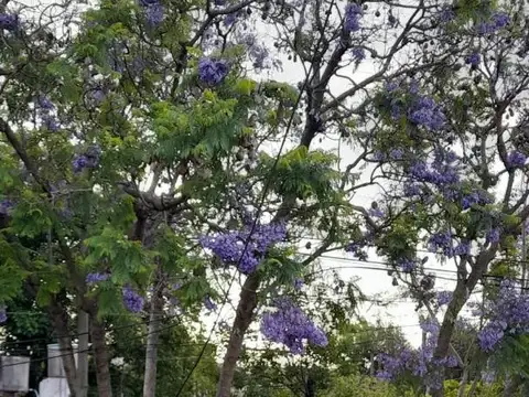 Casa en Venta 70 años