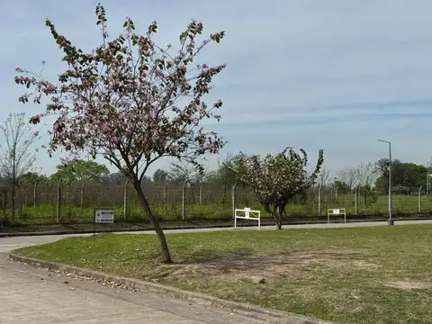 Terreno en Venta de 641,0 m2