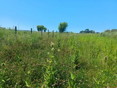 Terreno en Venta en Canelones, USD 210.000