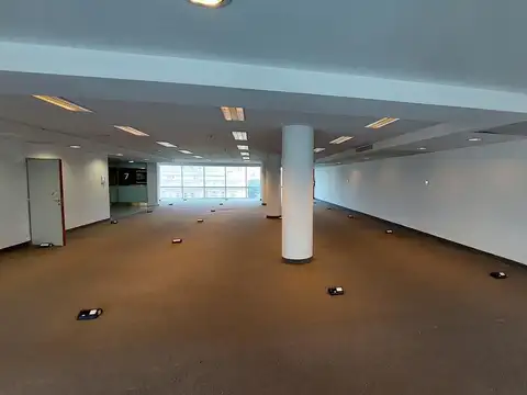 Carlos Pellegrini al 600