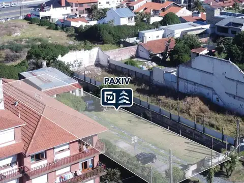 Patagones 1296