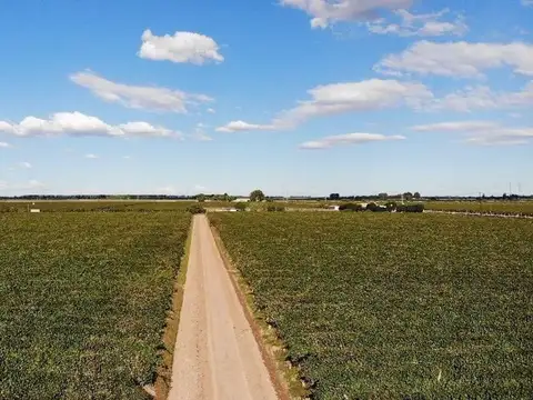 venta de finca impecable fray luis beltran