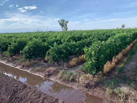 venta de finca impecable fray luis beltran